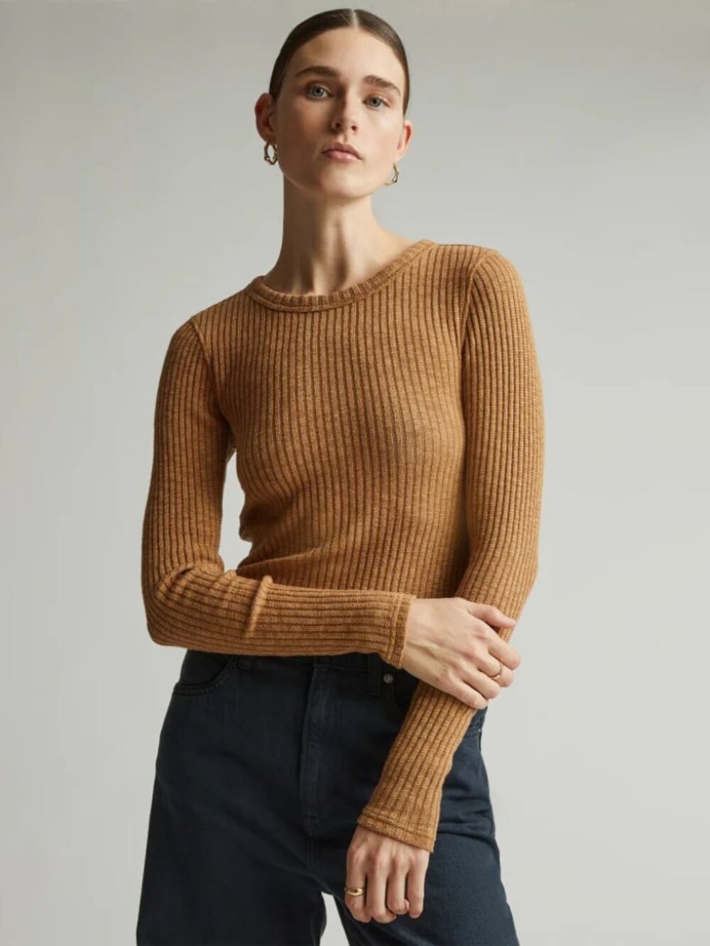 Everlane Rib Long-Sleeve Tee in Cappuccino | XXS